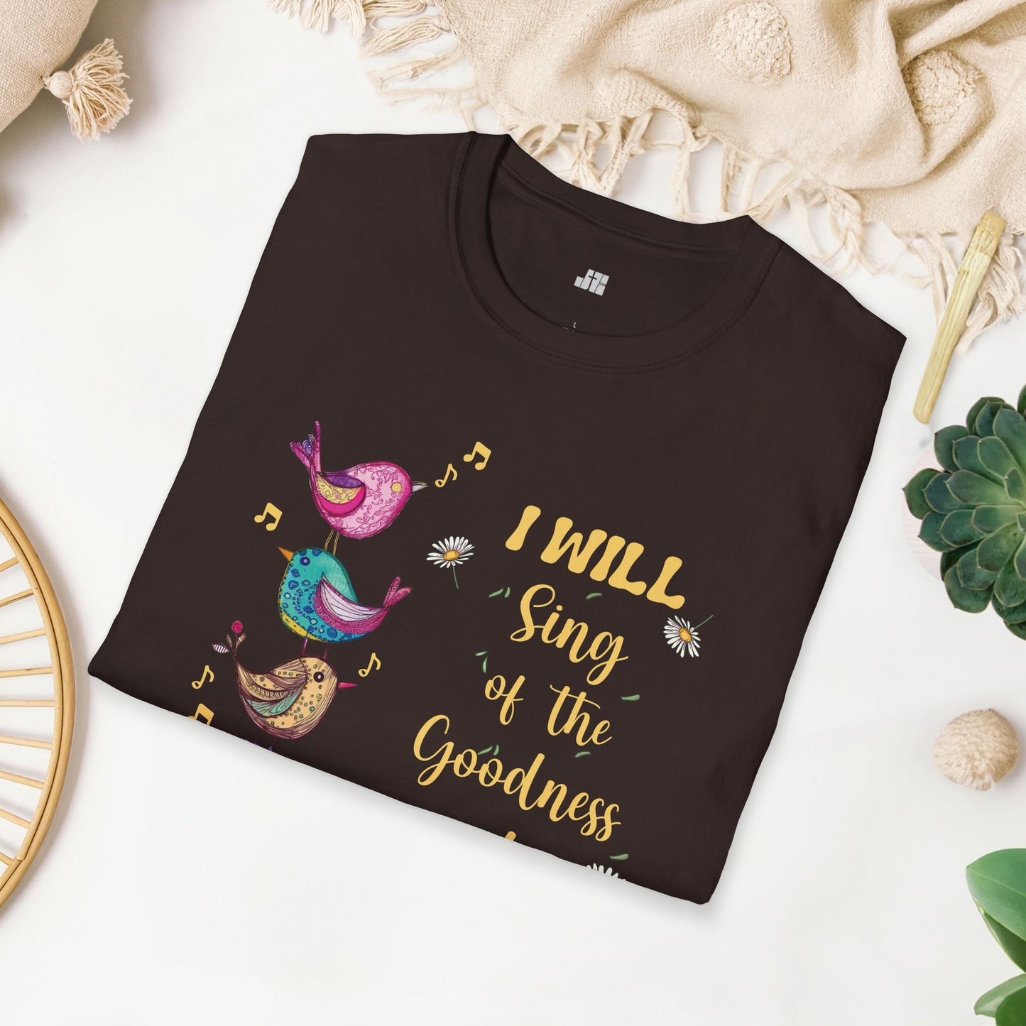 Goodness of God Softstyle T-shirt