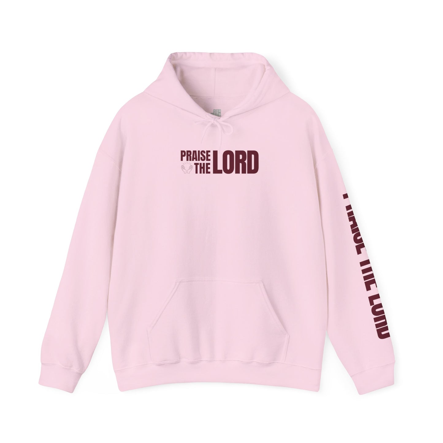 Praise The Lord Hoodie -  Psalm 117:1-2 Bible Verse Christian Hoodie
