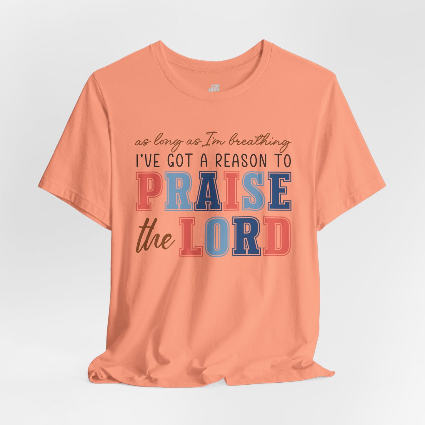 Praise The Lord Soft Cotton Tee - Christian Shirt