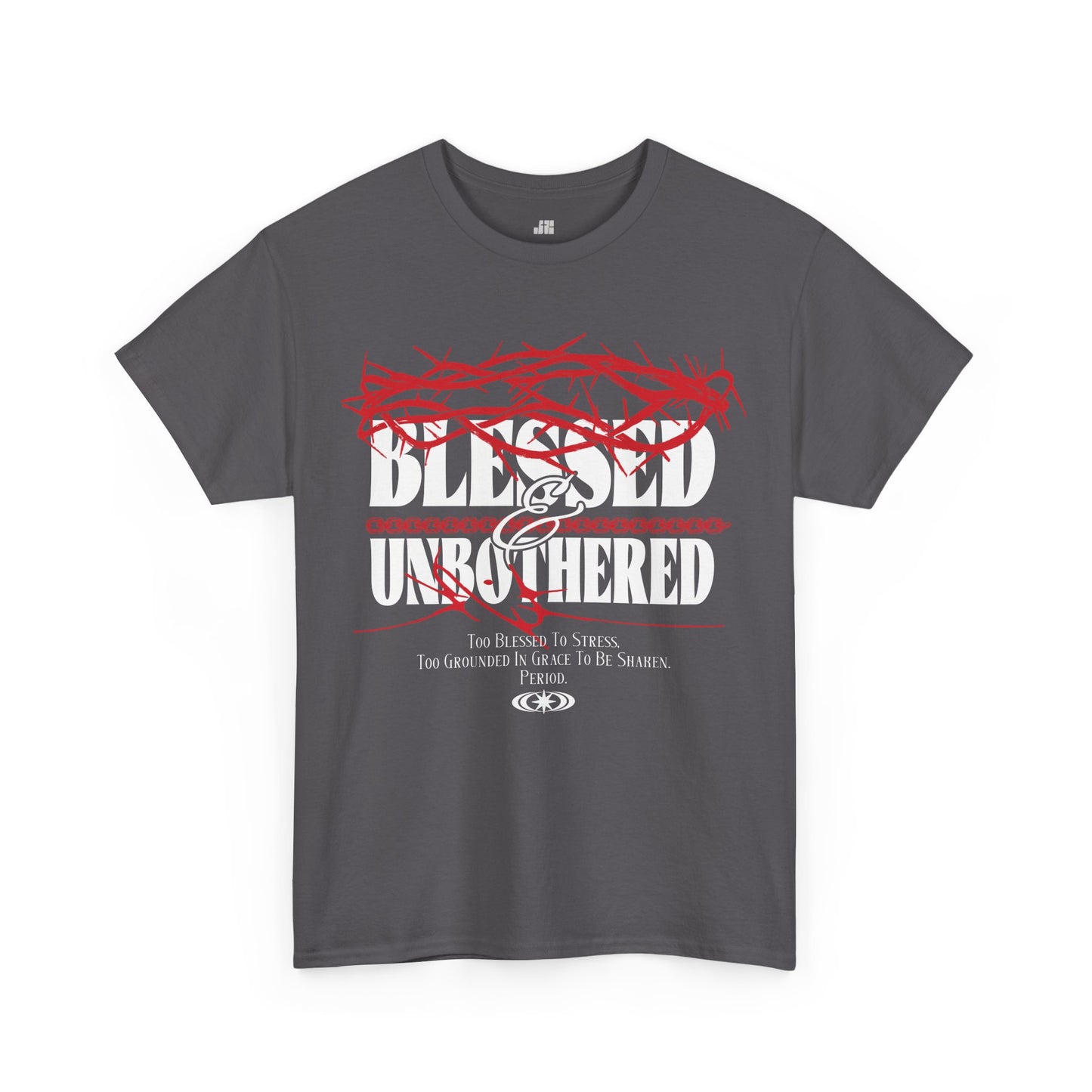 Blessed & Unbothered Heavy Cotton Tee